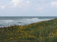 The Mediterranean Sea near Shavei Zion during spring.