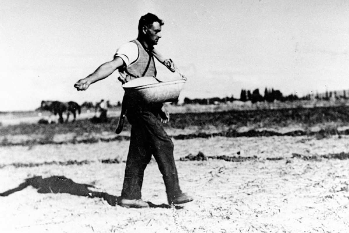 Ort der Zuflucht und Verheißung – Shavei Zion